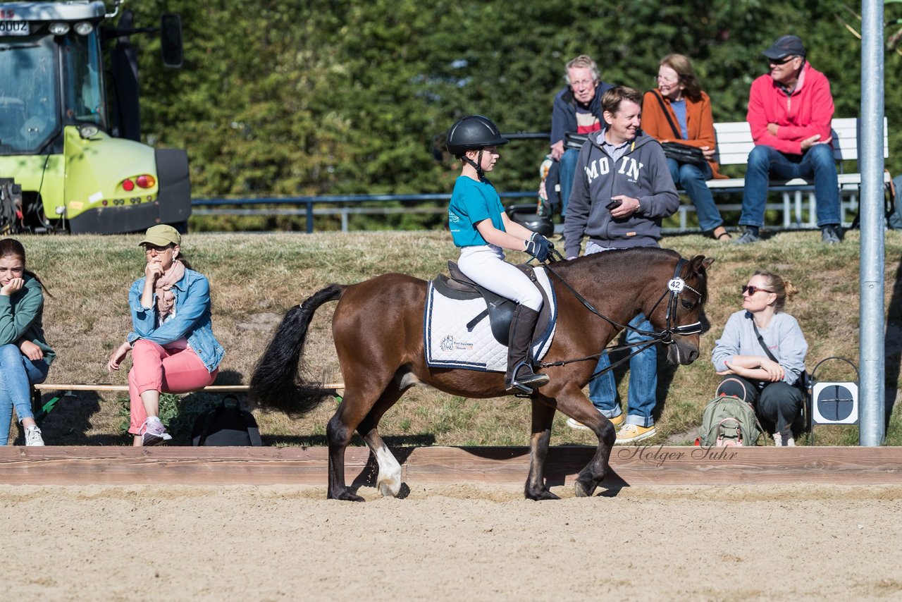 Bild 43 - Pony Akademie Turnier